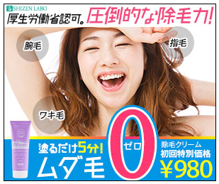 ���[�� �v���U